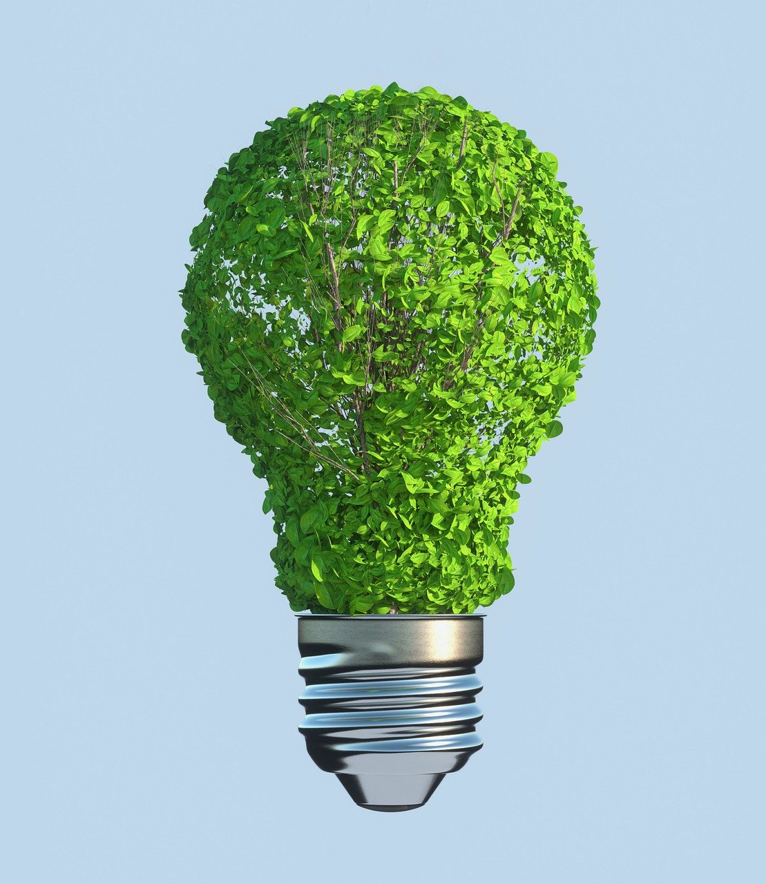 Vers un avenir responsable : comprendre le développement durable