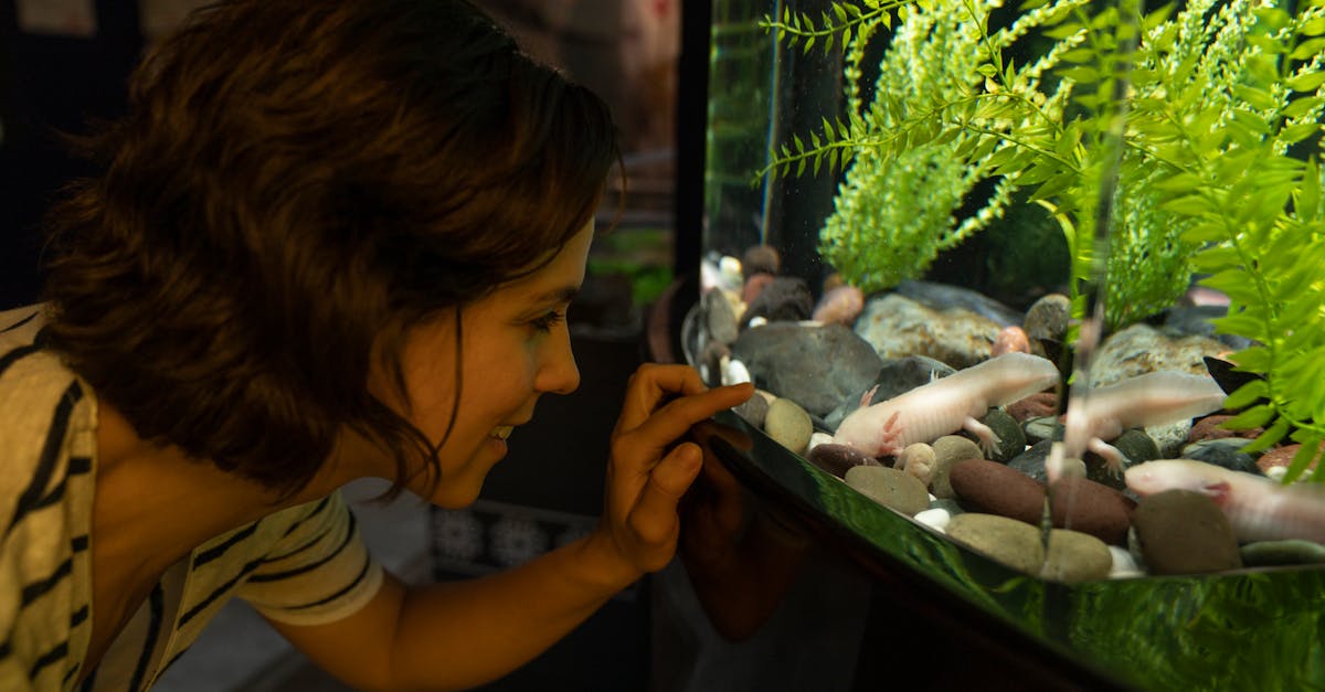 Éducation à l’environnement : Importance et méthodes pour sensibiliser les jeunes