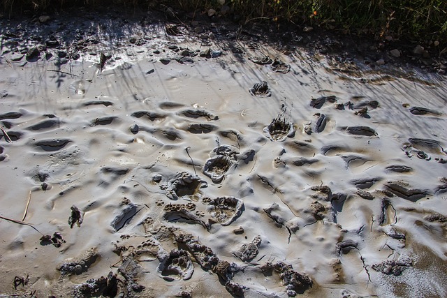 Comment int&eacute;grer le bilan carbone dans sa strat&eacute;gie RSE