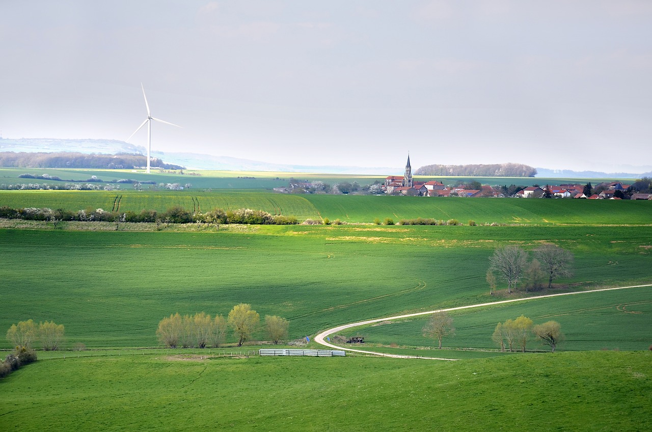 Écologie et Développement Durable : Vers un Avenir Responsable