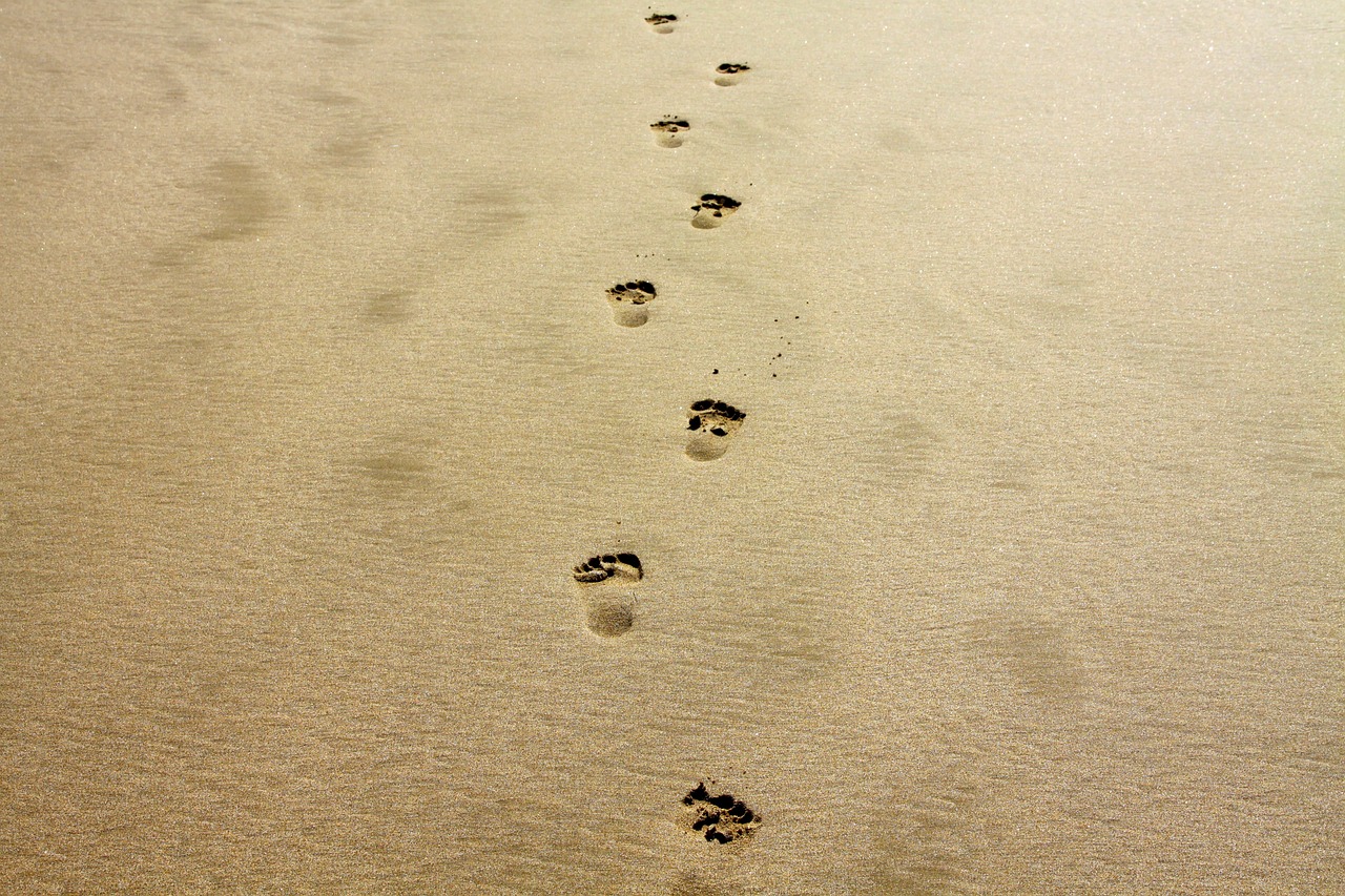 découvrez tout sur l'empreinte carbone : son impact sur l'environnement, comment la mesurer et des conseils pratiques pour la réduire au quotidien. engagez-vous dans la lutte contre le changement climatique et agissez pour un avenir durable.