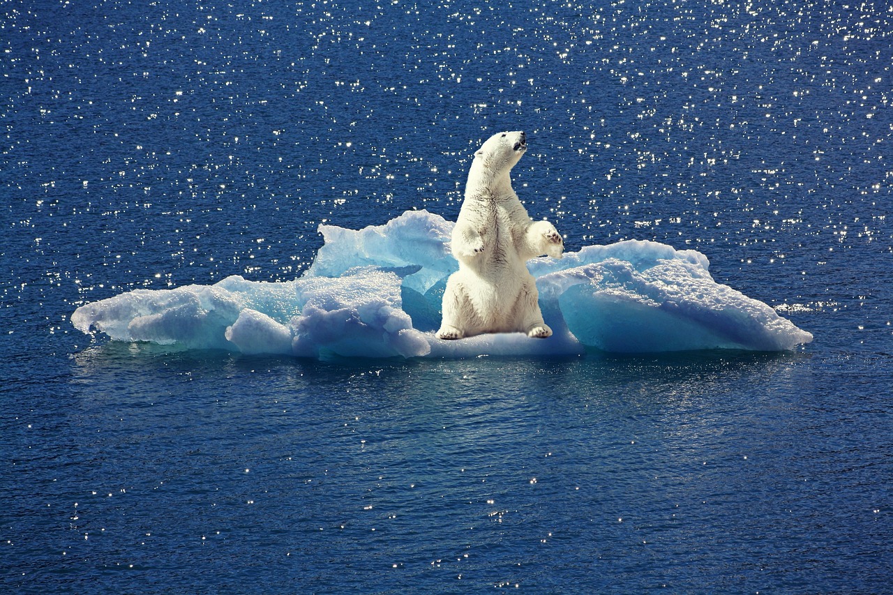 découvrez les impacts du changement climatique sur notre planète, ses causes, ses effets sur l'environnement et les actions nécessaires pour préserver notre avenir. informez-vous sur les enjeux clés et explorez des solutions durables pour agir face à cette crise mondiale.