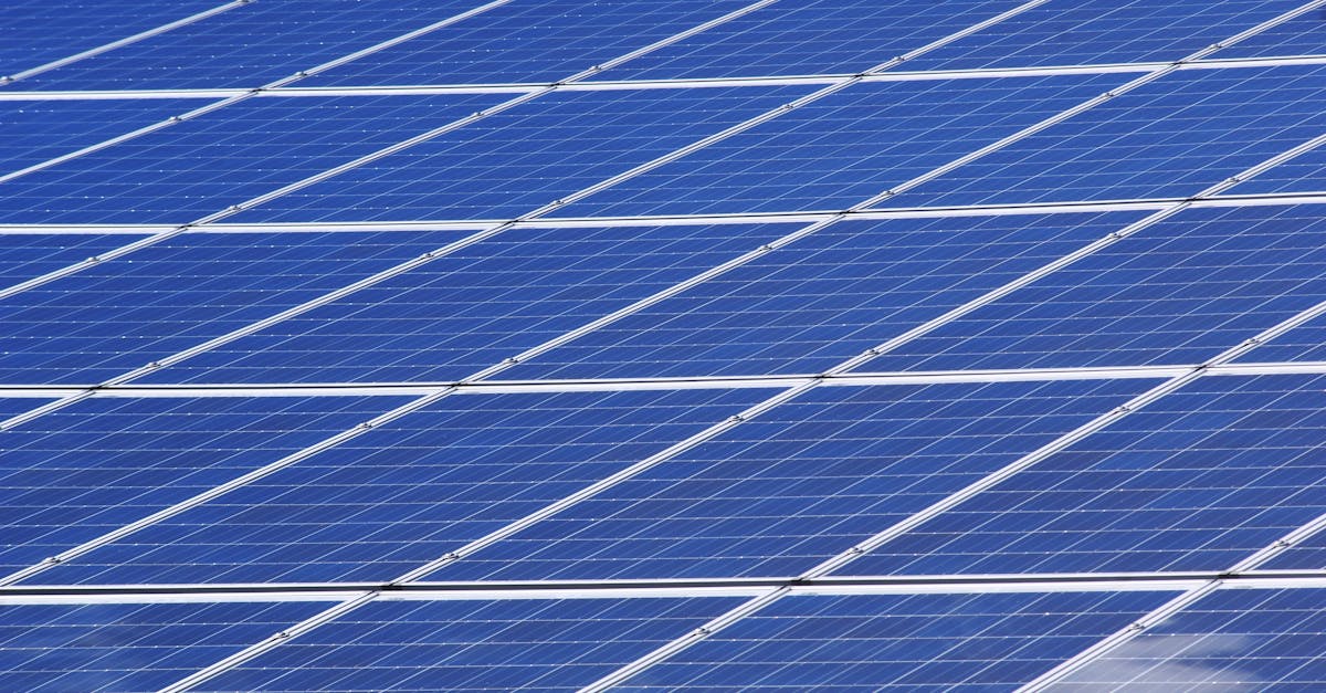 découvrez l'importance de la durabilité pour un avenir responsable. explorez les pratiques, les innovations et les engagements qui contribuent à la protection de notre planète tout en favorisant un développement économique et social équilibré.