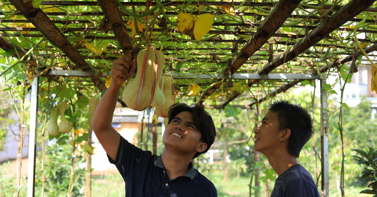 Agriculture bio : les avantages d’une production durable et respectueuse de l’environnement