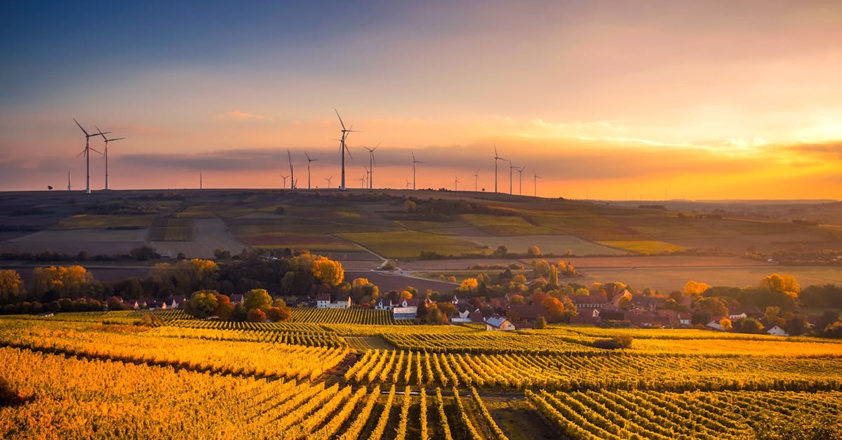 découvrez l'importance de la durabilité dans notre monde moderne. apprenez comment adopter des pratiques responsables pour préserver notre planète et assurer un avenir durable pour les générations futures.