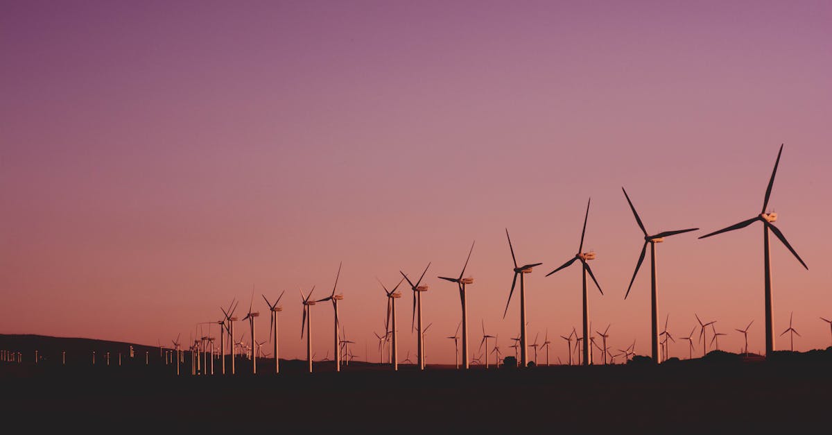 Politique de développement durable : enjeux et stratégies pour un avenir responsable