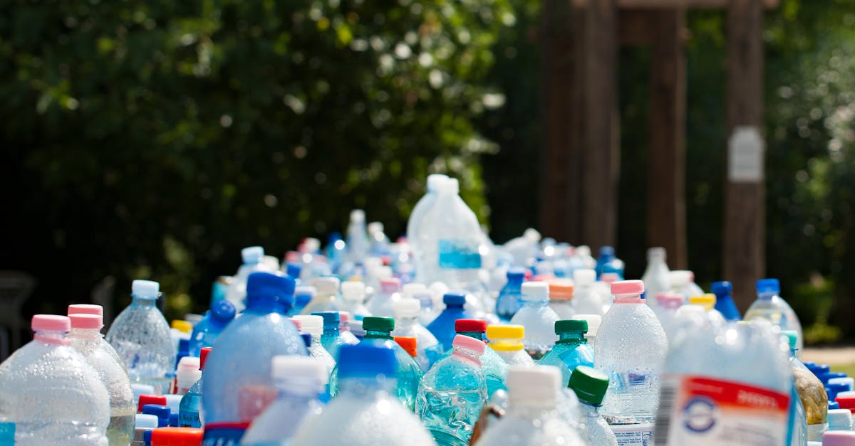 Recyclage : Guide complet sur les meilleures pratiques pour réduire les déchets