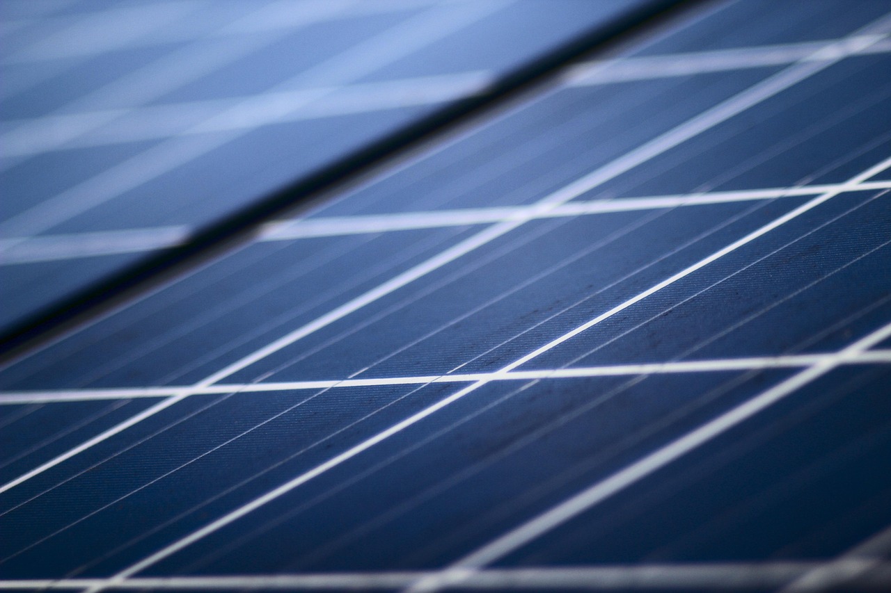 découvrez comment la durabilité transforme notre société et notre environnement, en promouvant des pratiques responsables et respectueuses de la planète. explorez des solutions innovantes et des initiatives pour un avenir plus durable.