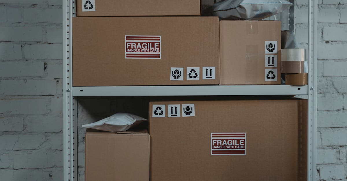 découvrez les systèmes de recyclage innovants qui transforment les déchets en ressources précieuses. apprenez comment ces technologies durables contribuent à la préservation de l'environnement et à la réduction des déchets. explorez les différentes méthodes de recyclage et leur impact positif sur notre planète.