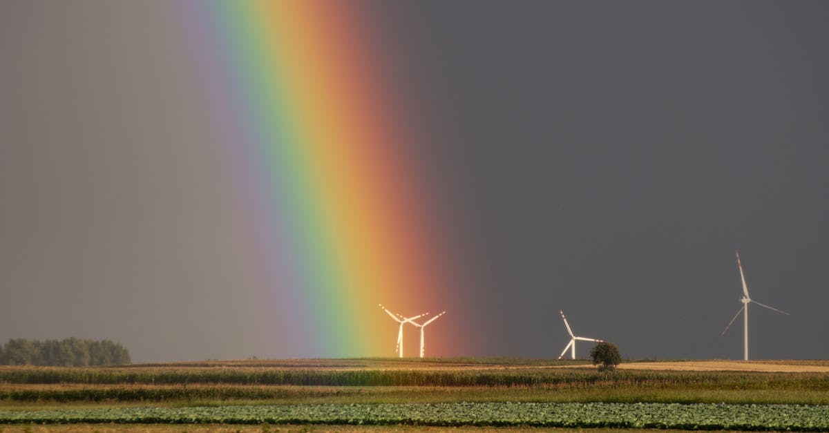 découvrez les cultures adaptées au climat, des solutions innovantes pour l'agriculture durable. apprenez comment ces plantes résilientes peuvent contribuer à la sécurité alimentaire face aux défis environnementaux croissants.