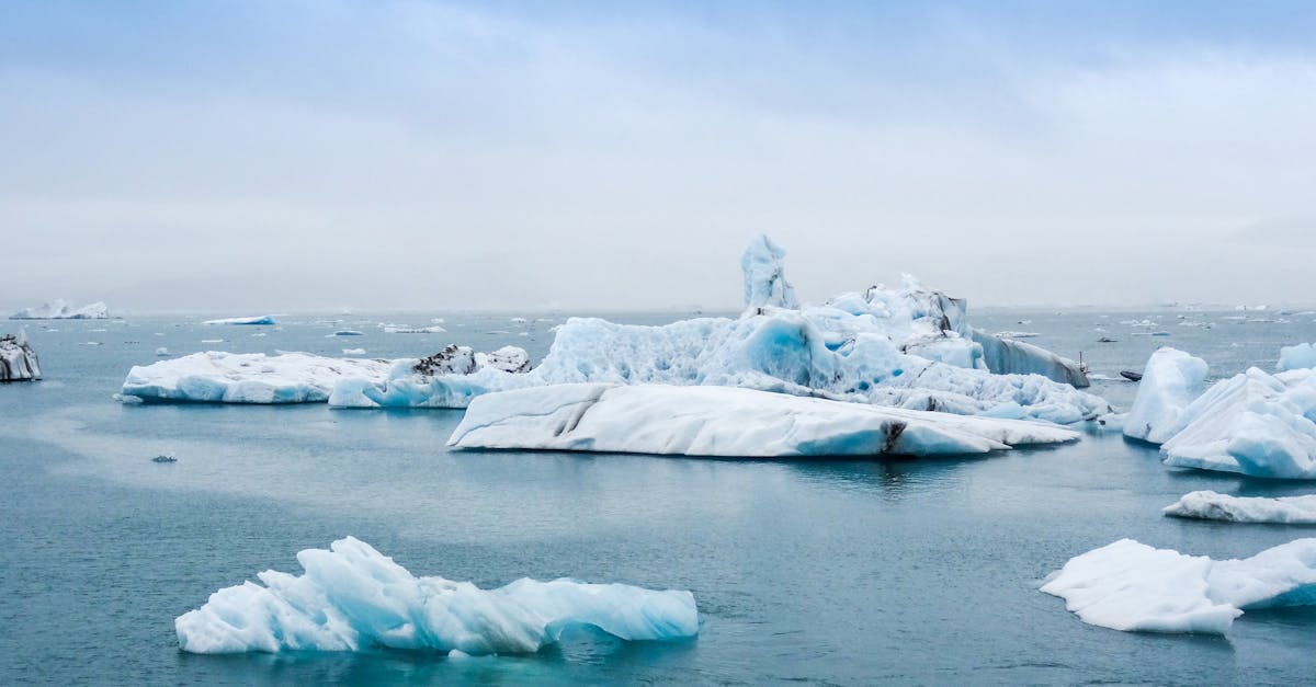 découvrez l'impact du changement climatique sur notre planète, explorez les solutions durables et apprenez comment chaque individu peut contribuer à un avenir plus respectueux de l'environnement. rejoignez le mouvement pour préserver notre climat.