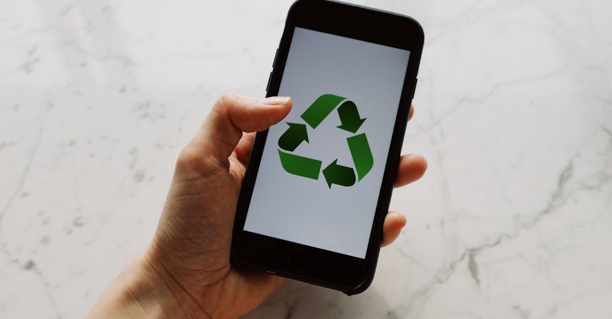 découvrez l'importance de la mobilisation écologique, une initiative essentielle pour préserver notre planète. rejoignez le mouvement et engagez-vous pour des actions durables en faveur de l'environnement.