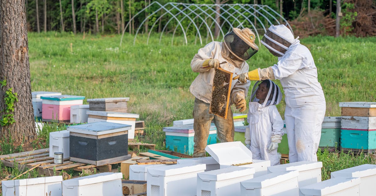 découvrez l'importance de l'éducation environnementale pour sensibiliser et préparer les générations futures à la protection de notre planète. explorez des ressources, des programmes et des initiatives qui encouragent une compréhension approfondie des enjeux écologiques et des actions durables.