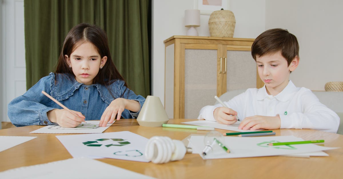 découvrez l'importance de l'éducation environnementale pour sensibiliser les générations futures aux défis écologiques. apprenez comment promouvoir la durabilité, protéger notre planète et encourager une conscience écologique à travers des programmes éducatifs innovants.