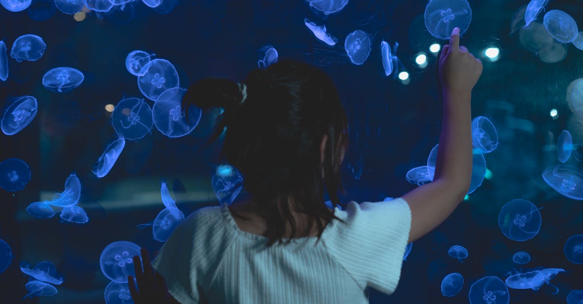 découvrez l'importance de l'éducation environnementale pour sensibiliser les générations futures aux enjeux écologiques. explorez des ressources, des programmes et des initiatives visant à favoriser une conscience environnementale et un comportement responsable face à notre planète.