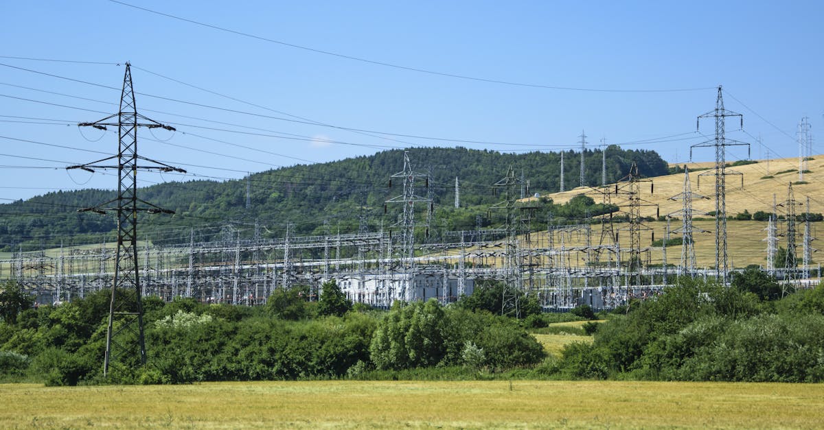 découvrez l'importance de la protection de l'environnement et comment chacun peut contribuer à préserver notre planète pour les générations futures. engagez-vous pour un avenir durable grâce à des actions simples et efficaces.