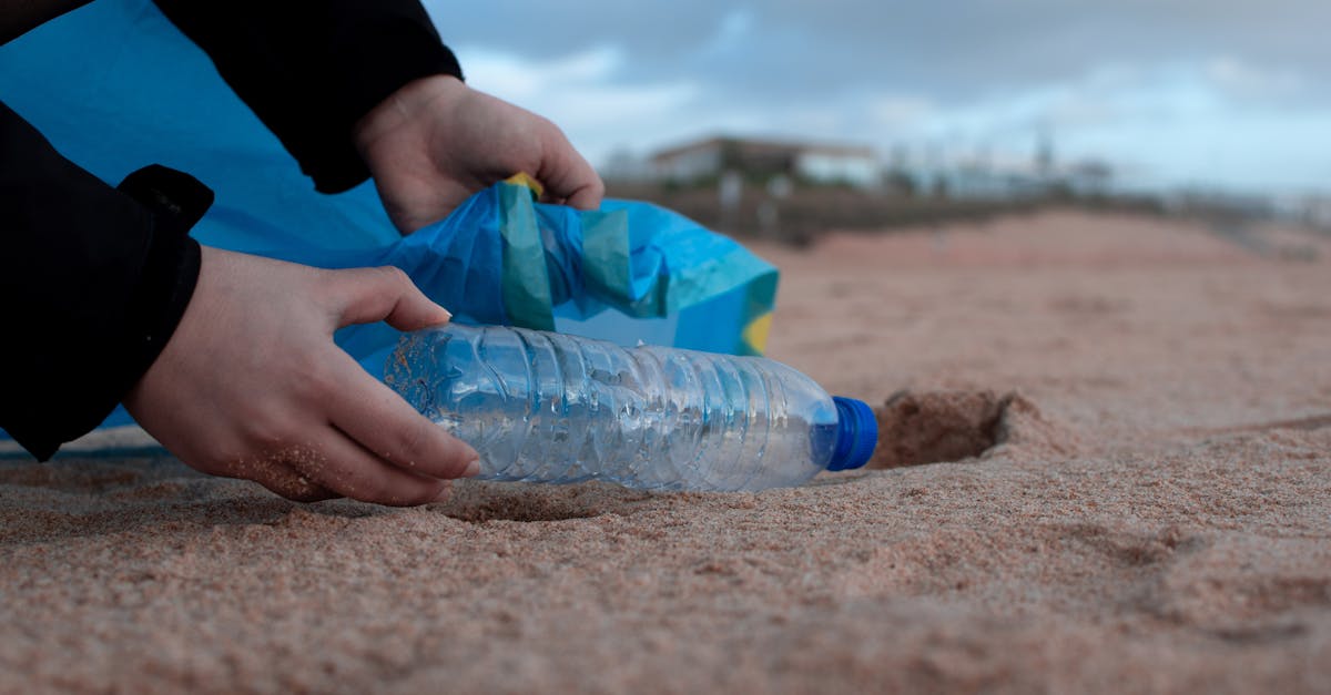 découvrez l'importance de la protection de l'environnement et les actions nécessaires pour préserver notre planète. explorez des conseils pratiques, des initiatives écologiques et des solutions durables pour un avenir meilleur.