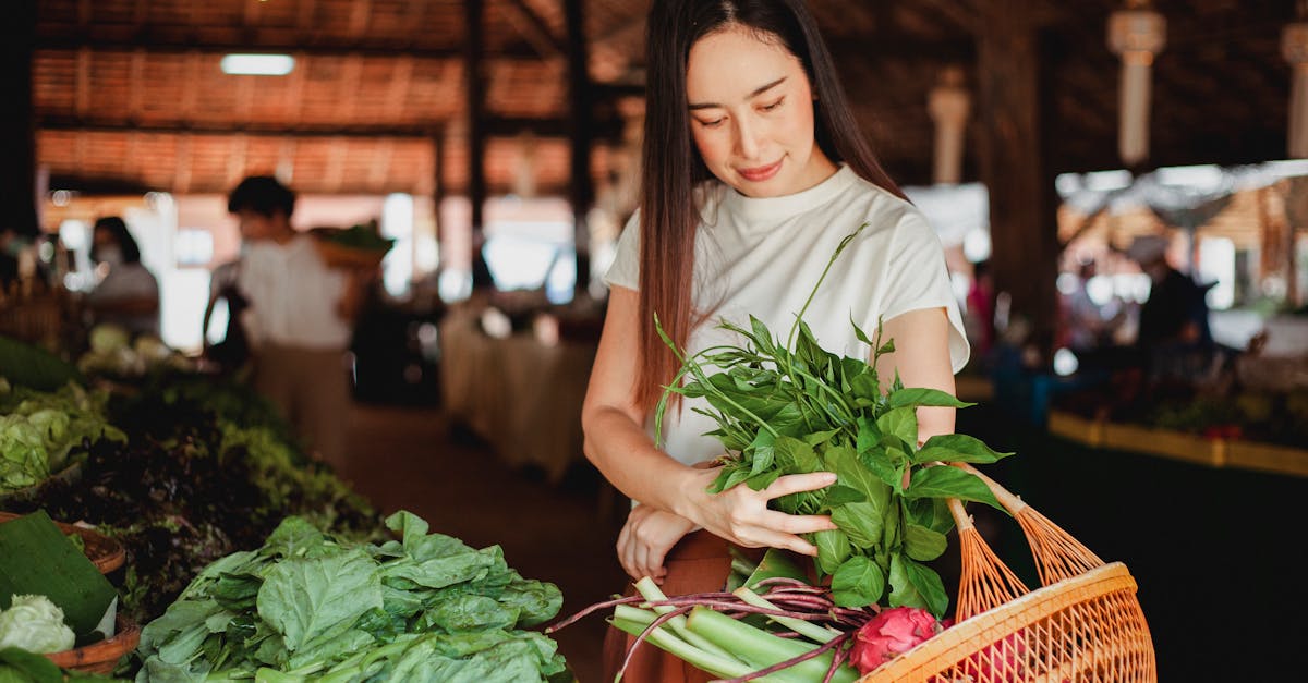 découvrez le green market, votre destination écoresponsable pour des produits bio et durables. explorez notre sélection de fruits, légumes, et artisanat local, tout en soutenant une agriculture respectueuse de l'environnement.
