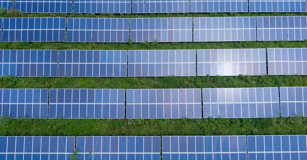 découvrez les sources d'énergie renouvelable qui transforment notre avenir énergétique. explorez les avantages du solaire, de l'éolien, de l'hydraulique et plus encore pour un monde durable et respectueux de l'environnement.