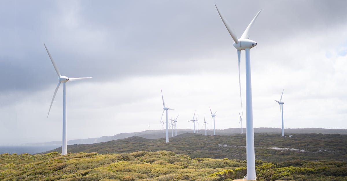 découvrez l'énergie renouvelable, une solution innovante et durable pour répondre à nos besoins énergétiques. explorez les différentes sources telles que le solaire, l'éolien et l'hydraulique, et découvrez comment elles contribuent à un avenir plus vert.