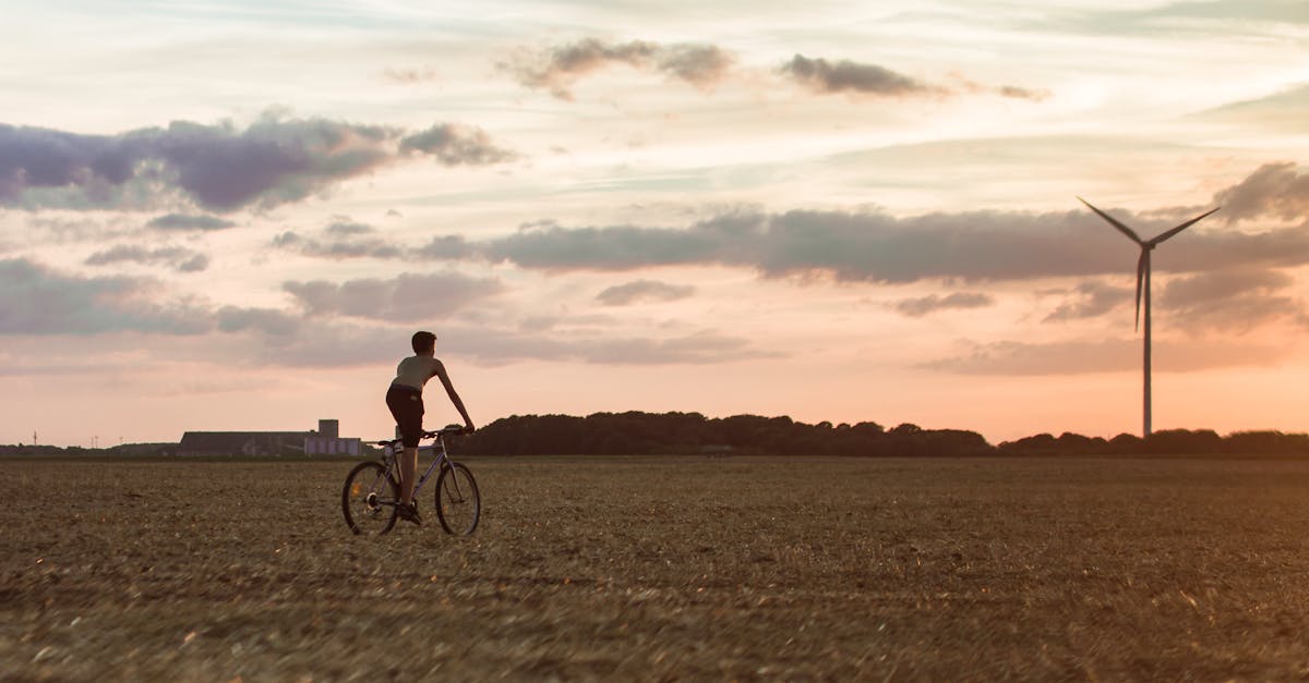 découvrez comment la durabilité façonne notre avenir avec des pratiques respectueuses de l'environnement. apprenez les enjeux et les solutions pour un mode de vie plus durable.