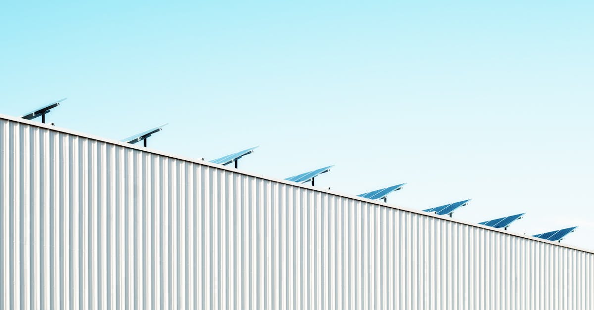 découvrez les principes de la durabilité et leur importance pour préserver notre planète. apprenez comment adopter des pratiques respectueuses de l'environnement dans votre vie quotidienne et contribuer à un avenir meilleur grâce à la durabilité.
