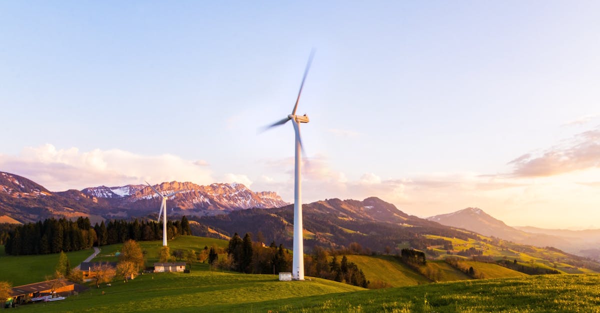 découvrez comment la durabilité transforme notre société et protège notre planète. explorez des pratiques, des innovations et des solutions pour un avenir plus respectueux de l'environnement.