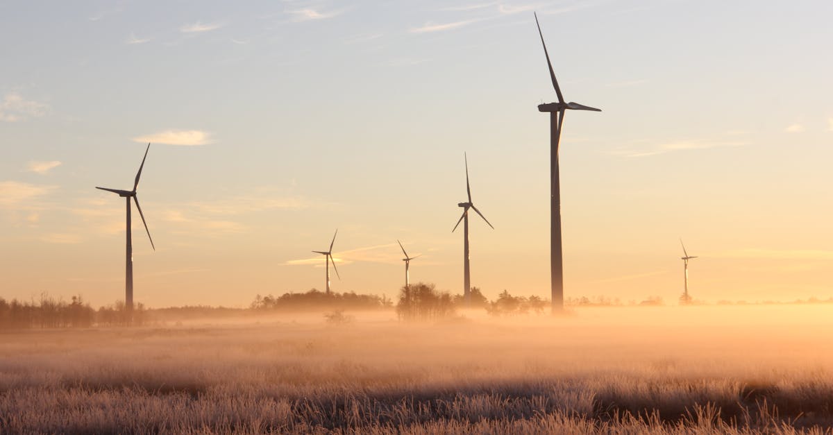 découvrez l'importance de la durabilité dans notre monde moderne. explorez des pratiques écoresponsables, des innovations vertes et des solutions pour un avenir durable qui préservent notre planète pour les générations futures.