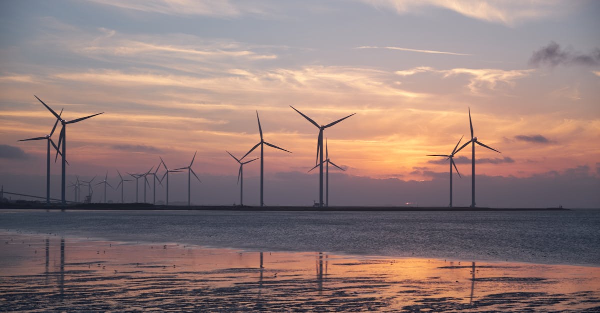 découvrez les principes du développement durable et son importance pour un avenir équilibré. explorez des stratégies et des pratiques pour promouvoir une croissance économique respectueuse de l'environnement et socialement responsable.