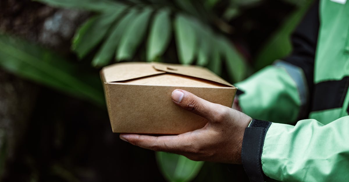 découvrez notre guide sur les matériaux durables, un choix essentiel pour un avenir respectueux de l'environnement. apprenez comment ces matériaux innovants peuvent transformer vos projets tout en réduisant votre empreinte écologique.