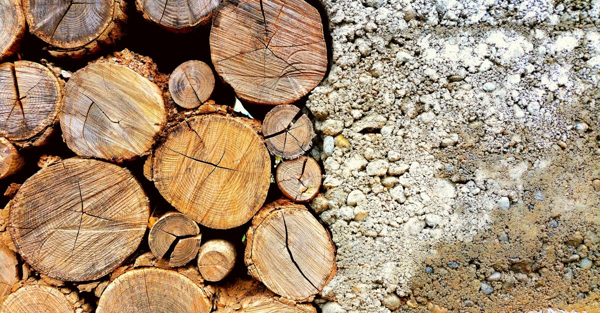 découvrez l'importance des matériaux durables dans la construction moderne et le design éco-responsable. apprenez comment ces ressources respectueuses de l'environnement contribuent à un avenir plus vert tout en offrant des performances et une esthétique exceptionnelles.