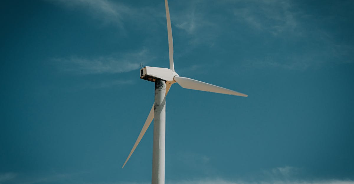 découvrez les clés d'une transition durable : comprenez les enjeux écologiques, les solutions innovantes et les stratégies nécessaires pour un avenir respectueux de l'environnement et des générations futures.