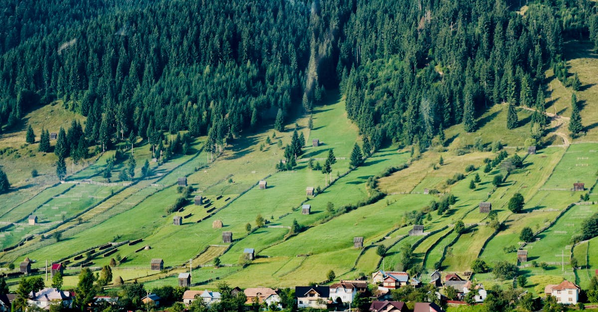 découvrez le monde fascinant des fermes urbaines, où l'agriculture moderne rencontre la vie citadine. explorez des méthodes innovantes de culture, des produits frais et locaux tout en contribuant à un environnement durable. rejoignez le mouvement vers une alimentation plus verte et responsable au cœur des villes.