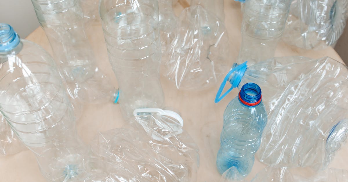 Consommation circulaire : Comment adopter un mode de vie durable et responsable