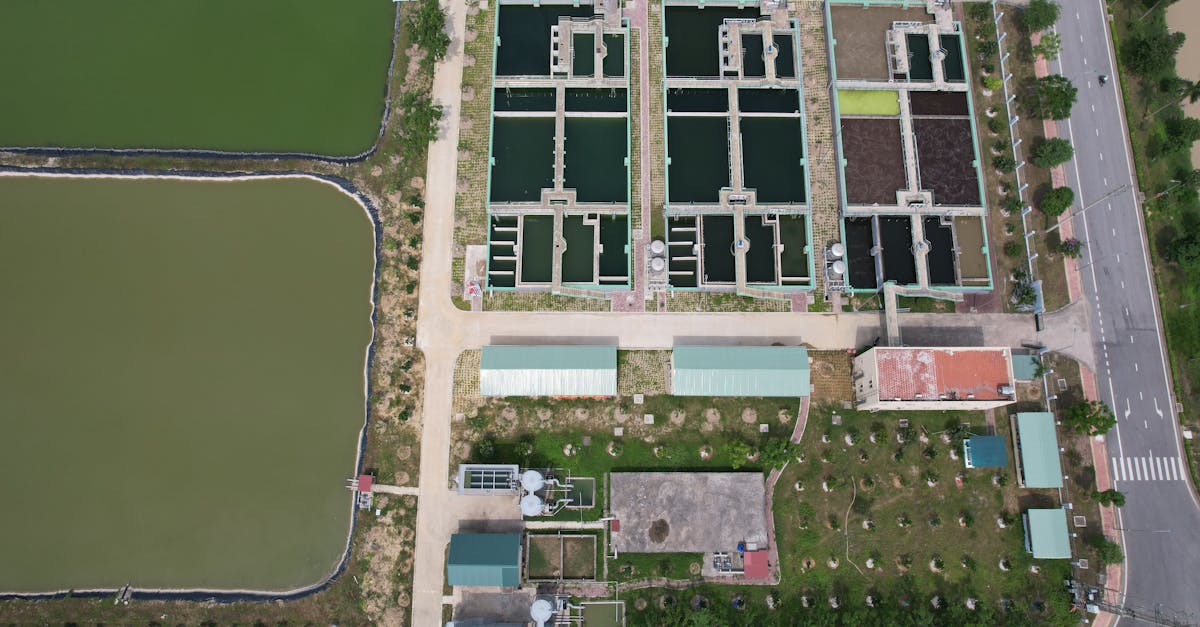 découvrez comment le développement régional durable peut allier croissance économique, protection de l'environnement et bien-être social. explorez des stratégies innovantes pour bâtir des communautés résilientes tout en préservant les ressources locales.