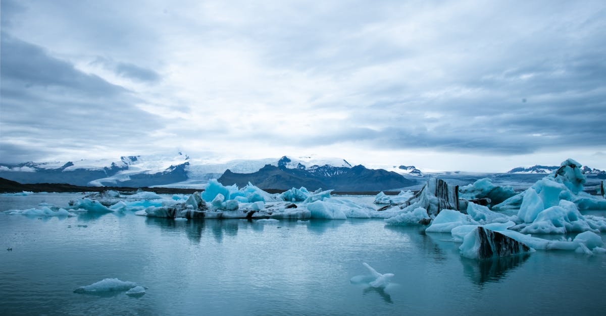 découvrez comment le changement climatique impacte notre planète, les causes sous-jacentes, et les actions à entreprendre pour préserver notre environnement pour les générations futures.