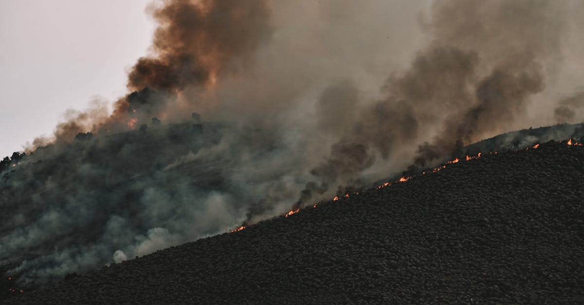 découvrez l'impact du climat sur notre planète et nos vies quotidiennes. explorez les enjeux liés aux changements climatiques, aux conséquences environnementales et aux actions nécessaires pour construire un avenir durable.