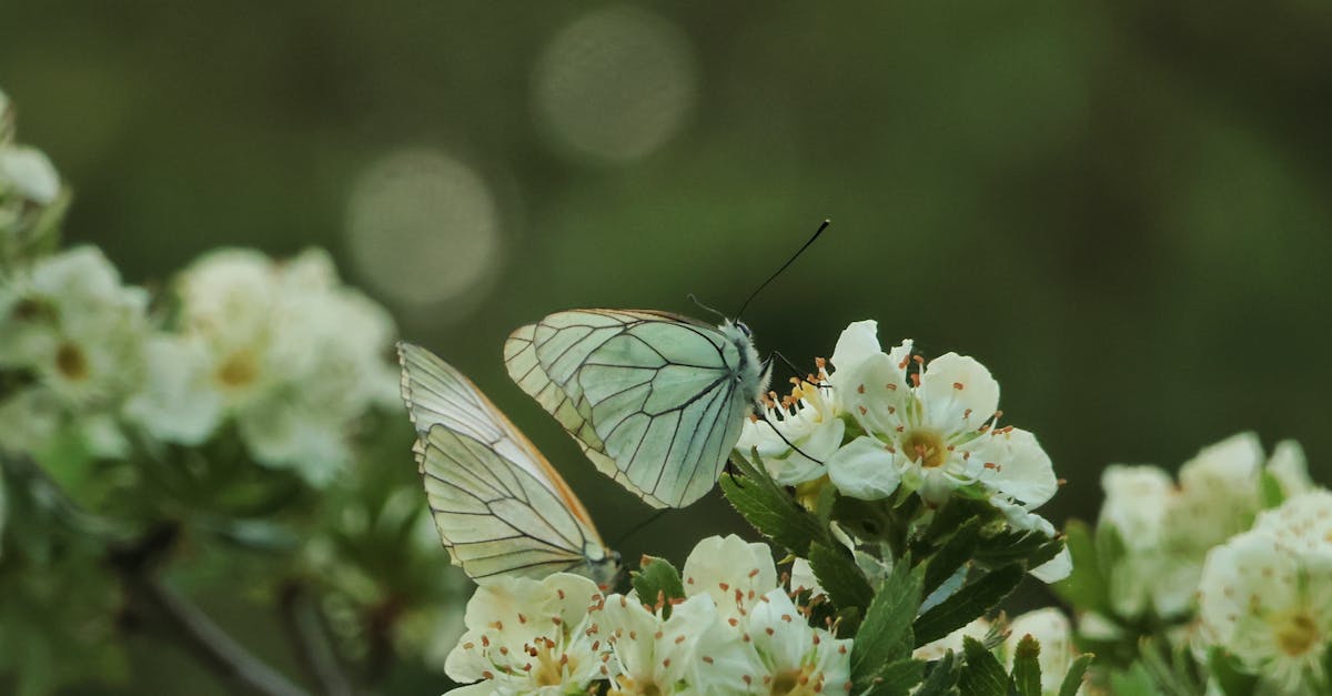 découvrez comment les eco-partnerships favorisent la durabilité et l'innovation dans les entreprises. explorez des collaborations écologiques qui permettent de réduire l'empreinte carbone tout en créant de la valeur ajoutée pour toutes les parties prenantes.
