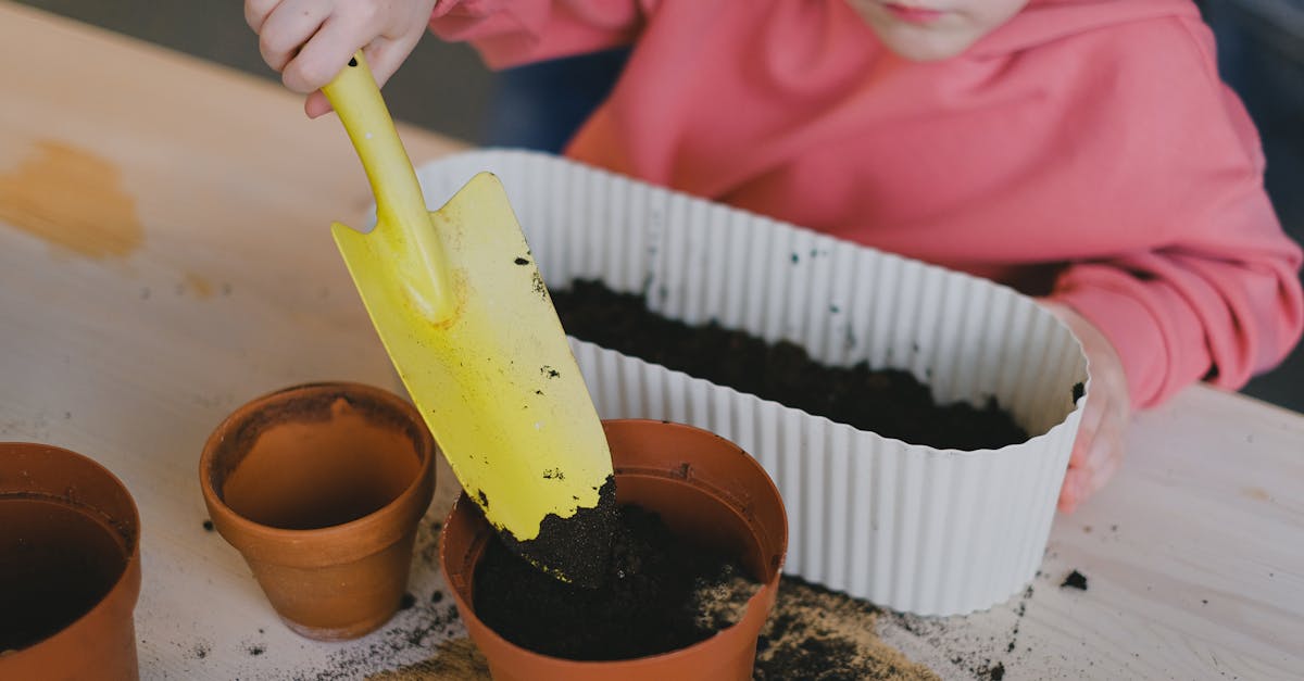 découvrez l'importance de l'éducation environnementale pour sensibiliser les jeunes générations aux enjeux écologiques. apprenez comment intégrer des pratiques durables dans votre quotidien et participez à la protection de notre planète.
