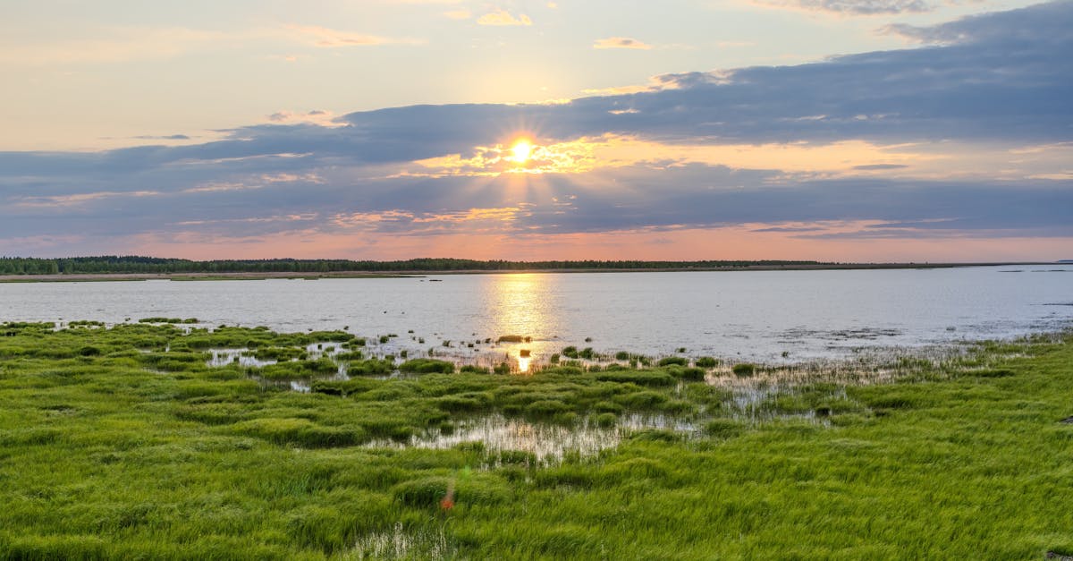 découvrez les normes environnementales essentielles pour une meilleure durabilité et protection de notre planète. informez-vous sur les réglementations et pratiques qui favorisent un avenir écologique.