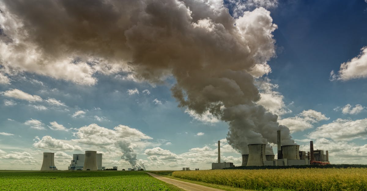 découvrez l'infrastructure verte, une approche innovante intégrant nature et urbanisme pour améliorer la durabilité des villes, la gestion des eaux pluviales et la biodiversité. explorez les avantages économiques et environnementaux offerts par ces solutions durables.