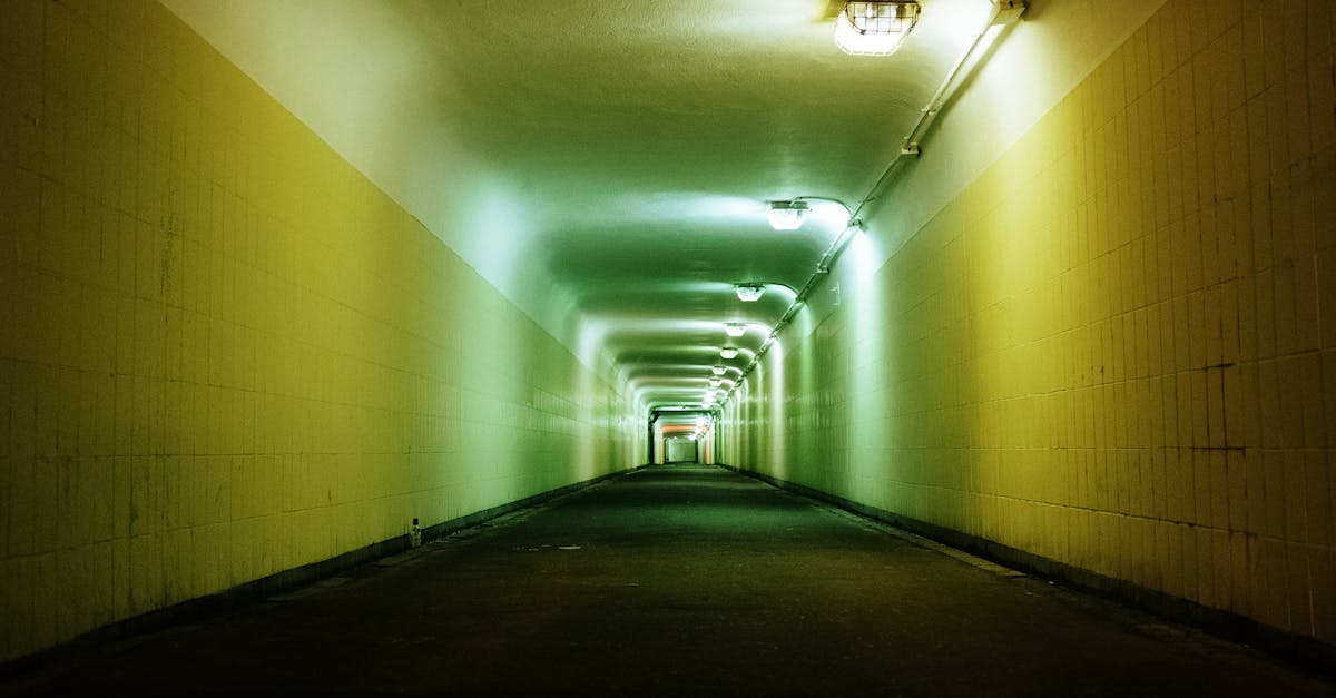 découvrez l'infrastructure verte, une solution durable pour favoriser l'environnement en intégrant la nature dans l'urbanisme. apprenez comment ces initiatives améliorent la qualité de vie en réduisant les impacts des changements climatiques tout en embellissant les villes.