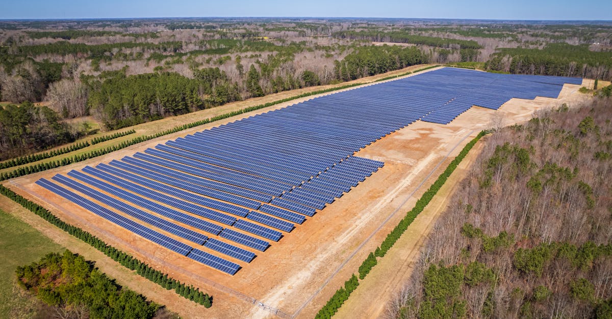 découvrez les ressources renouvelables, une solution durable pour un avenir écologique. apprenez comment l'énergie solaire, éolienne et hydraulique transformera notre planète et réduira notre empreinte carbone.