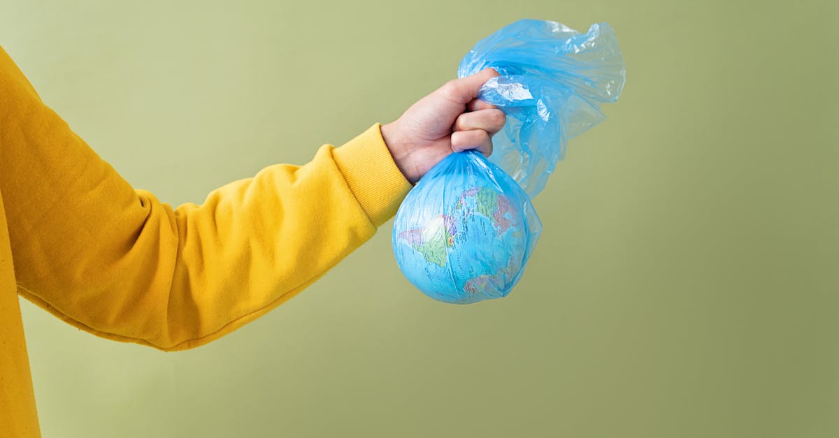 découvrez comment bâtir un avenir durable grâce à des pratiques éco-responsables, des innovations vertes et des choix conscients. engagez-vous pour la planète et profitez d'un mode de vie respectueux de l'environnement.
