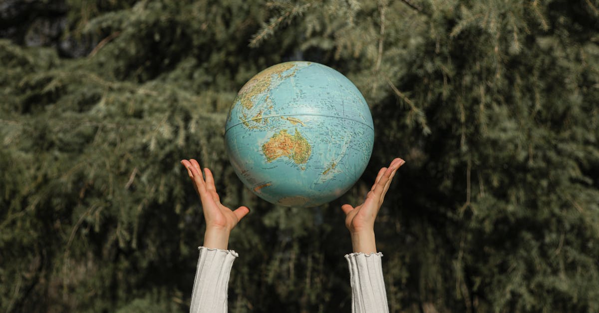 découvrez des astuces et des conseils pour mener une vie durable et respectueuse de l'environnement. apprenez à réduire votre empreinte écologique tout en adoptant des pratiques écoresponsables au quotidien.