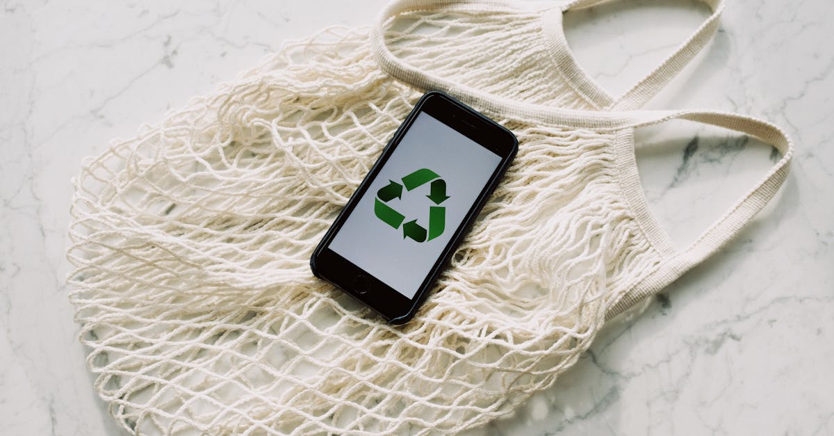découvrez des conseils pratiques et des astuces pour adopter un mode de vie durable. apprenez à réduire votre empreinte écologique, à consommer de manière responsable et à intégrer des solutions écologiques dans votre quotidien pour un avenir plus vert.