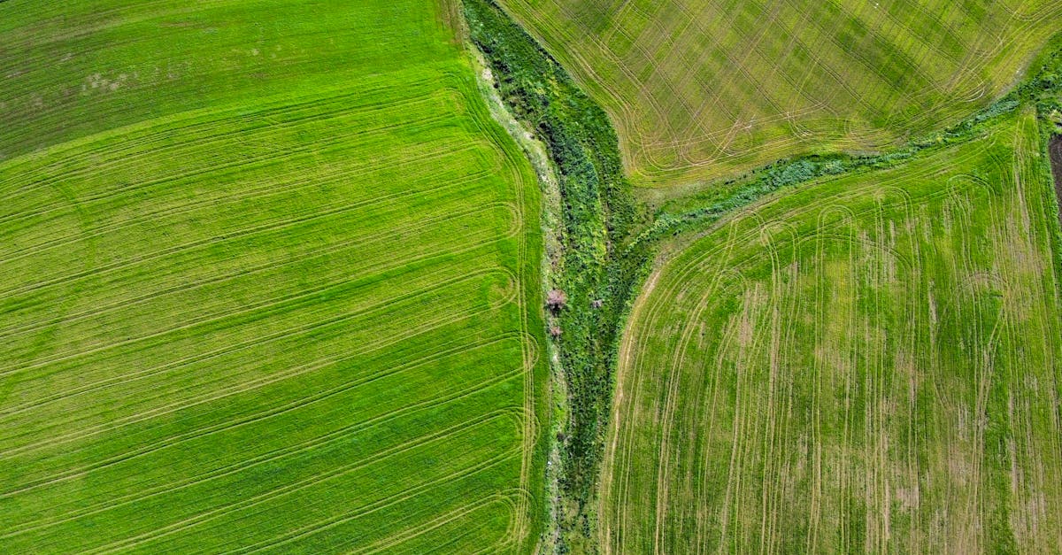 découvrez l'agriculture urbaine, une pratique innovante qui transforme nos villes en espaces verts fertiles. apprenez comment cultiver des légumes, des fruits et des herbes en milieu urbain tout en préservant l'environnement et en renforçant les communautés.