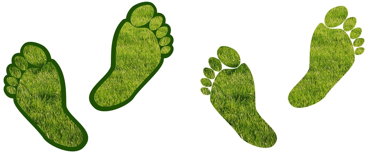 découvrez tout ce que vous devez savoir sur l'empreinte carbone : définition, enjeux environnementaux et solutions pour la réduire. engagez-vous pour un avenir durable et apprenez à compenser votre impact sur la planète.