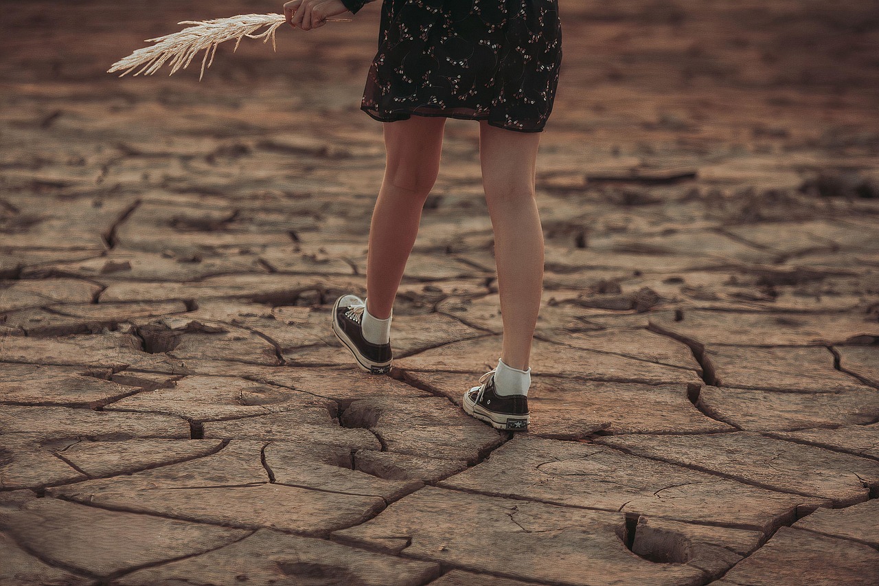 Comprendre le changement climatique : un enjeu clé pour réduire notre empreinte carbone
