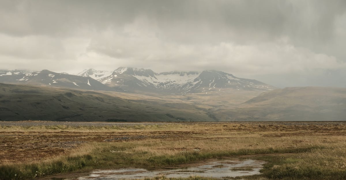 découvrez comment contribuer aux initiatives de financement pour le climat. rejoignez des efforts pour soutenir des projets durables et lutter contre le changement climatique à travers des collectes de fonds innovantes et engageantes.